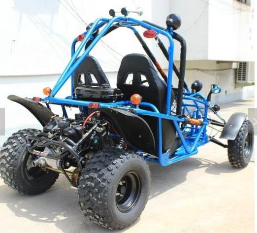 High Quality 150/200cc GY6 Engine Dune Adults Go Kart with Two Seats