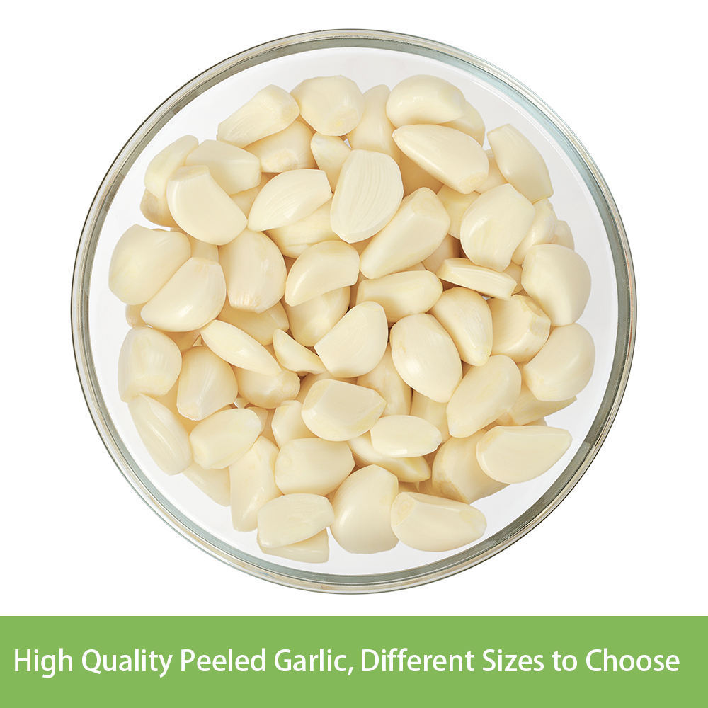 Popular Peeled Vacuum Packed Garlic New Crop Peeled Garlic Raw Material Peeling Garlic