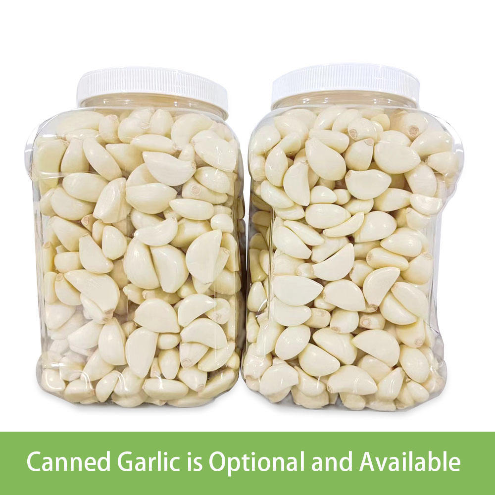 Popular Peeled Vacuum Packed Garlic New Crop Peeled Garlic Raw Material Peeling Garlic