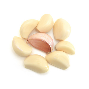 Popular Peeled Vacuum Packed Garlic New Crop Peeled Garlic Raw Material Peeling Garlic