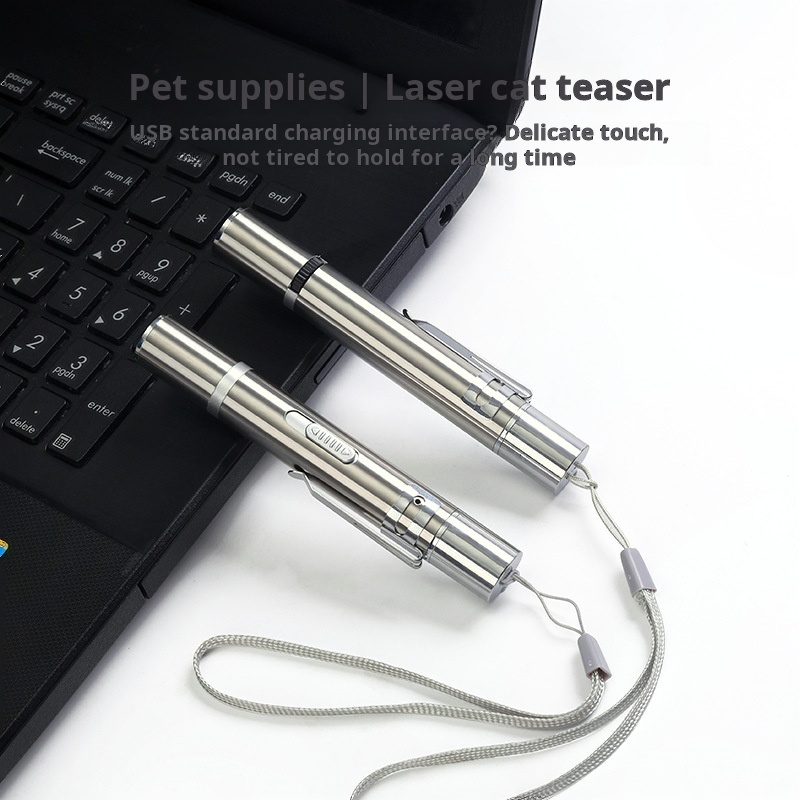 Multi-functional Laser Pointer Long Range  Cats Dogs Laser Pointer  Presentations Teaching Outdoor Cat Laser