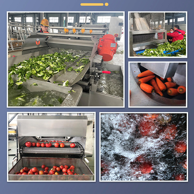 TCA industry tomato ginger corn onion carrot garlic fully automatic washing machine vegetable treatment machines