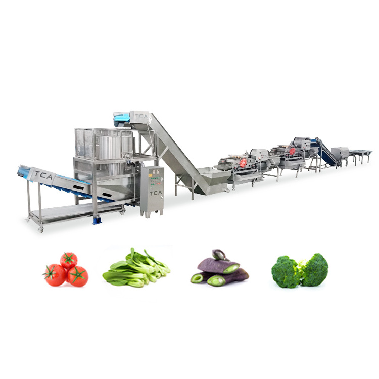 TCA industry tomato ginger corn onion carrot garlic fully automatic washing machine vegetable treatment machines