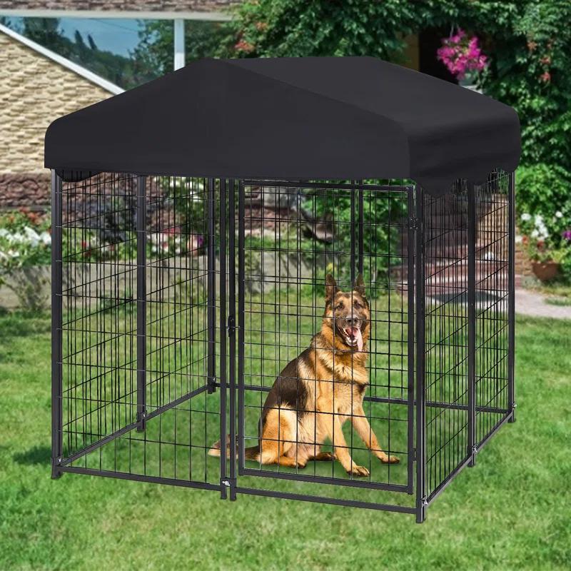 dog kennels cages pet  dog running