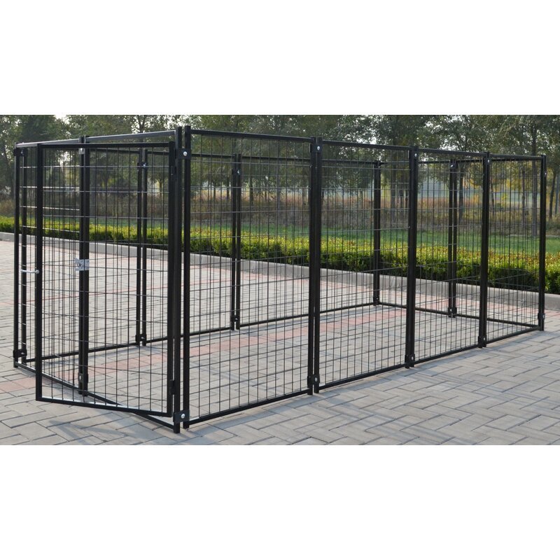 dog kennels cages pet  dog running