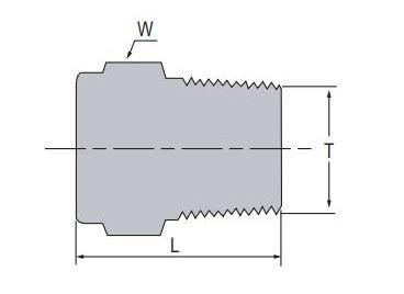 Blind 1/4 3/8 1/2 1 inch NPT BSPT Male Stainless steel 316 Monel Duplex 6Mo Instrumentation Pipe Fittings Hex Plug Solid Plug