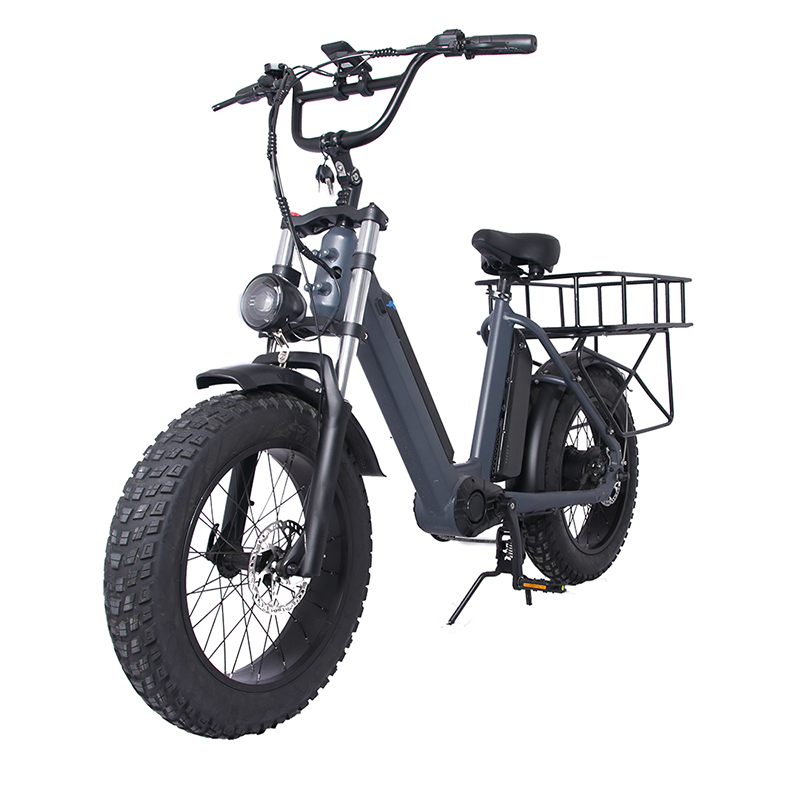 20inch Fatbike Electric Bike Of Family Cargo Ebike 48v 500w/1000w Lithium Battery Electric Motorcycle K9 Electric Bicycle