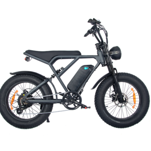 Electric Bike Adults 500w 750w 20'' Mountain E Bike 48v 13ah h9 v8 Lithium-ion Battery Removable Off Road Electric Bicycle Bike