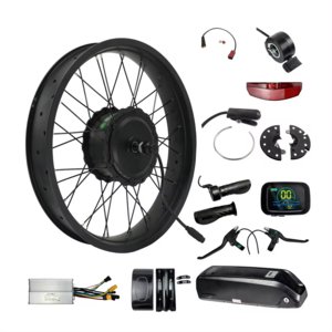 Wholesale 20 Inch 20x4 Fat Tyre Ebike 500w 750w Hub Motor Electric Bike Conversion Kit