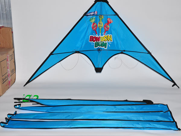 Easy flying outdoor sport dual line delta stunt kite