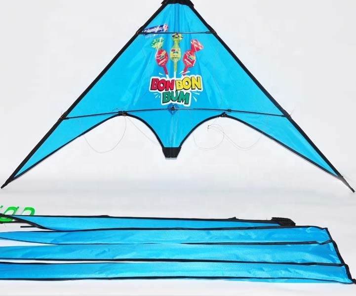 Easy flying outdoor sport dual line delta stunt kite