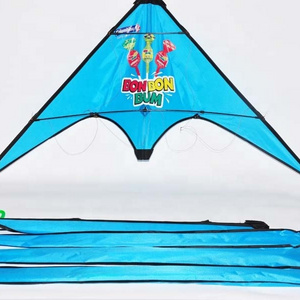 Easy flying outdoor sport dual line delta stunt kite