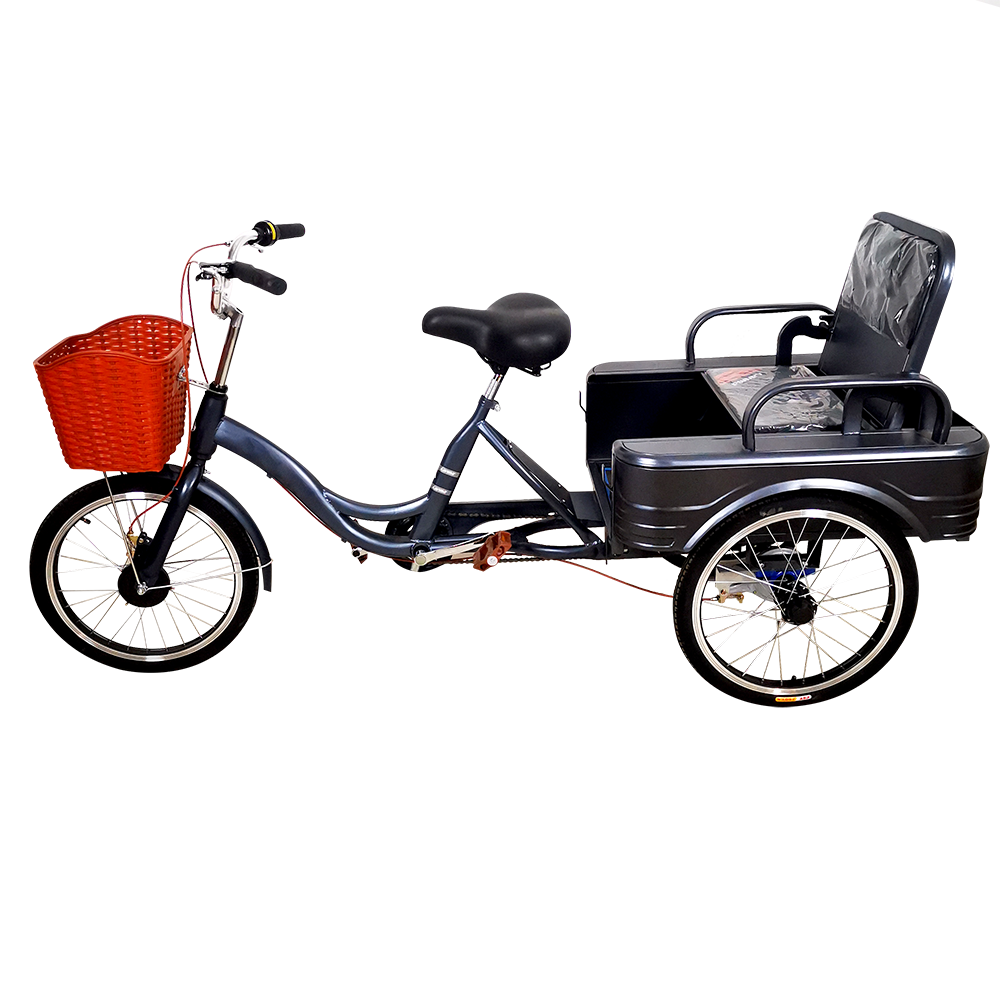 Customized manufacturer LM31 3 wheel bikes for adults