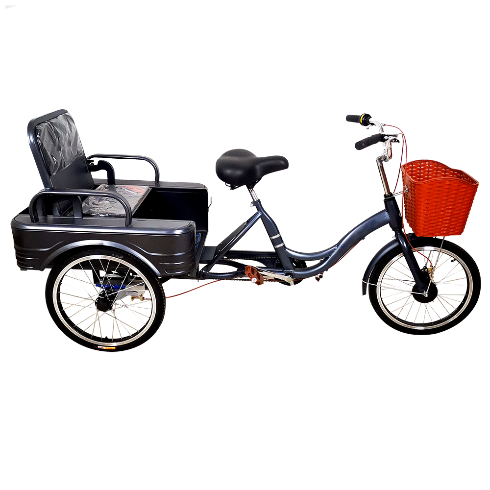 Customized manufacturer LM31 3 wheel bikes for adults