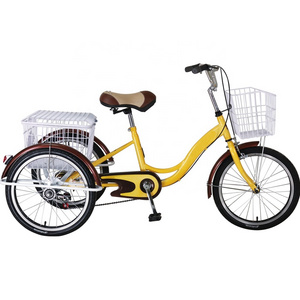 24'' Pedicab with Cargo Box Pedal Assistant Electric Three Wheel Bicycle for Sale