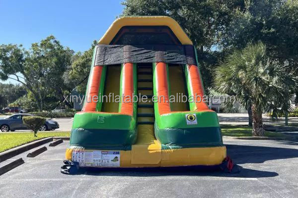 Cheaper new design Commercial Inflatable Water Slide Giant Rock Climbing Slide with Removable Pool for sale