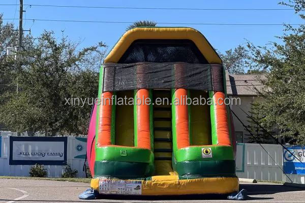 Cheaper new design Commercial Inflatable Water Slide Giant Rock Climbing Slide with Removable Pool for sale