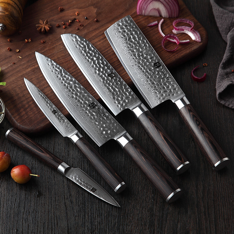 5 pcs professional 67 layers damascus kitchen knife set with pakka wood handle