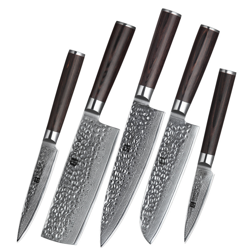 5 pcs professional 67 layers damascus kitchen knife set with pakka wood handle