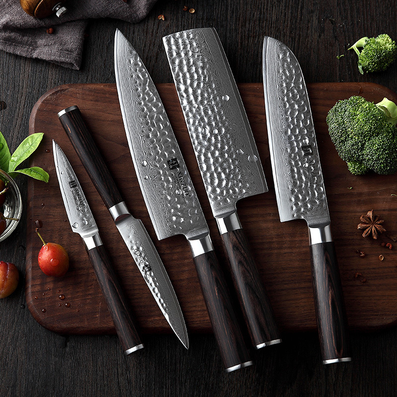 5 pcs professional 67 layers damascus kitchen knife set with pakka wood handle