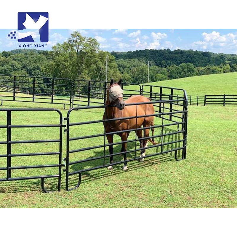 2021 Hot Selling 12 ft Horse Round Pen and Livestock Corral Panels