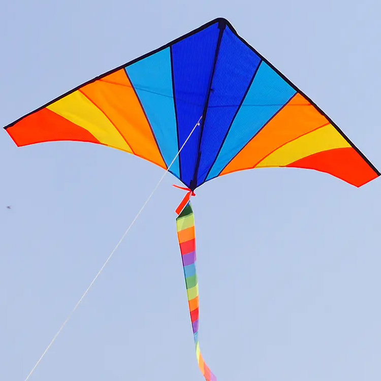 Top Sale Quality Weifang Easy Flying Rainbow Delta Kite With Customized Printed Logo