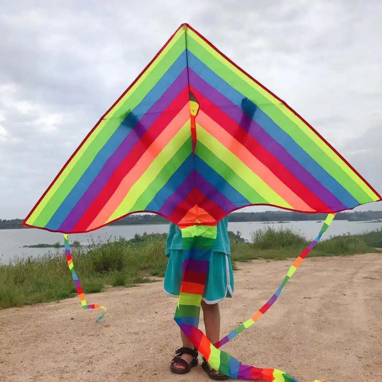 Top Sale Quality Weifang Easy Flying Rainbow Delta Kite With Customized Printed Logo