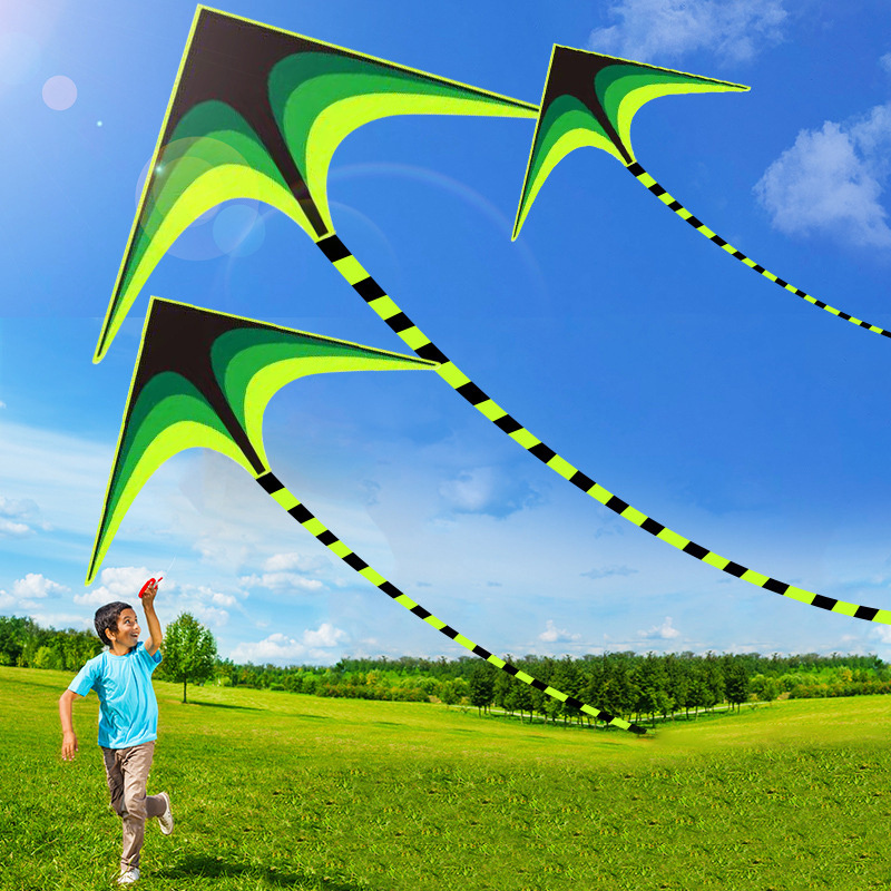 Factory direct deal easy flying custom printed big long tail delta kite for sale