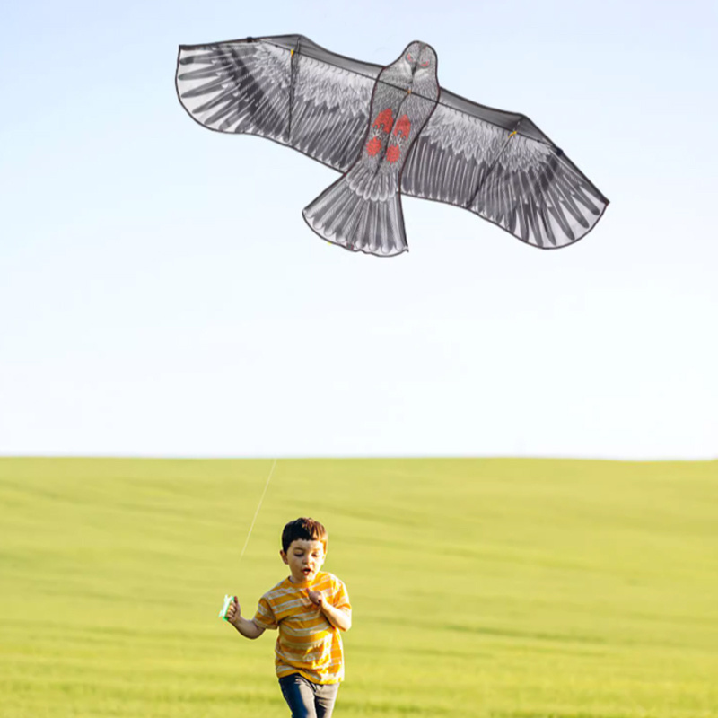 Outdoor flying high quality sport toy big eagle kite for sale