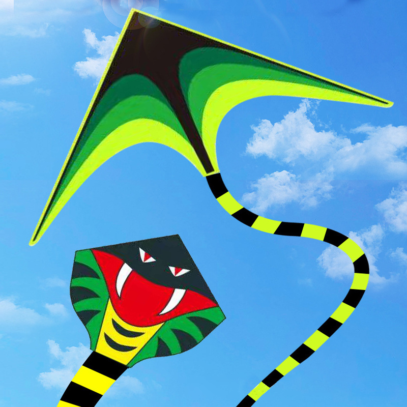 Factory direct deal easy flying custom printed big long tail delta kite for sale