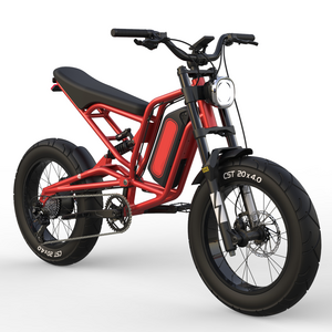 20*4'' Dirt Electric Ebike 1500W/3000w Bici Bicicleta Eletrica 2000W Elettrica Cruise Cruiser Ebike