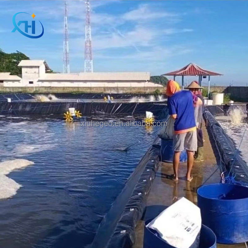 0.5mm Thick Black/Blue HDPE Plastic Geomembrane for Fish Farming Dam Water Tank Pond Liner