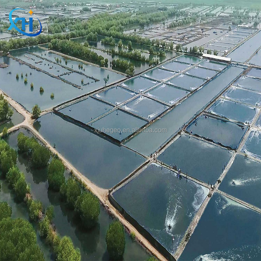 0.5mm Thick Black/Blue HDPE Plastic Geomembrane for Fish Farming Dam Water Tank Pond Liner