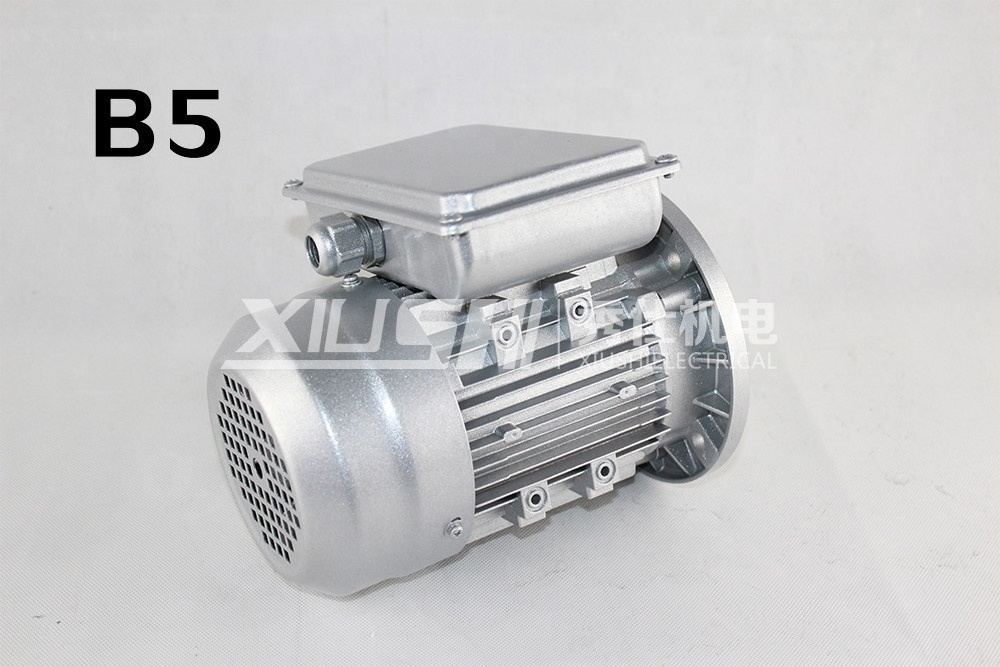 single phase asynchronous motor YL100L2-4 3KW 4HP B5 4 pole ac motor aluminum housing motor