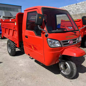 algeria cargo vehicle tricycle gasoline engine cargo tricycle moto cargo 300cc tricycle