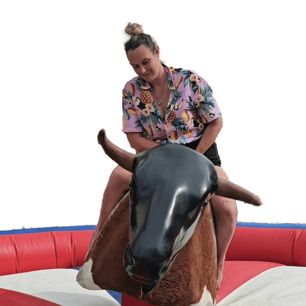 Inflatable Mechanical Bull Wholesale Price