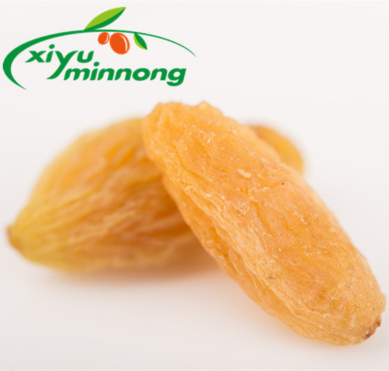 Xinjiang natural grow dried yellow raisins sweet healthy golden raisins for market supplies