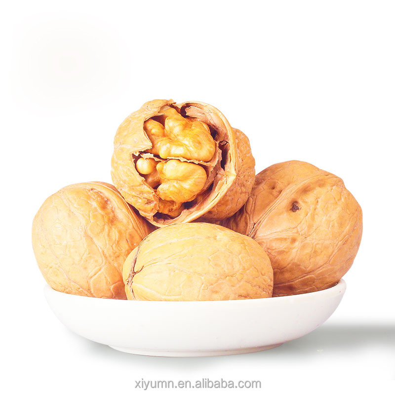 Price of Walnuts nuts, in-shell walnuts wholesale, walnuts in shell in China