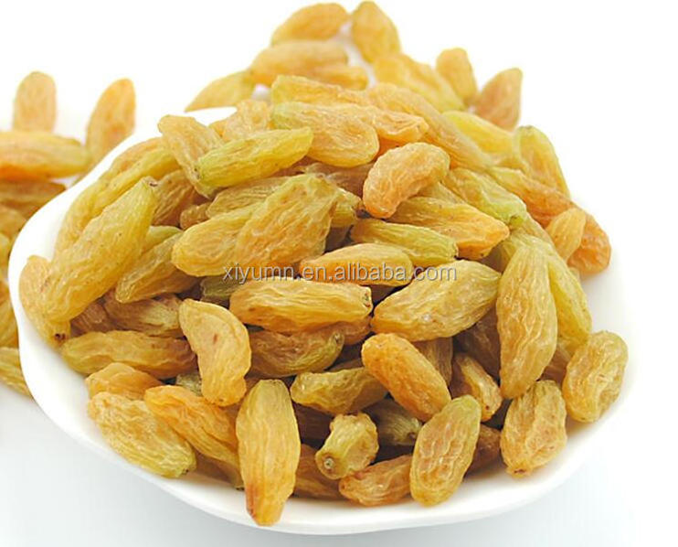 HACCP factory wholesale price of dried golden raisins yellow color direct  from Xinjiang cultivation base