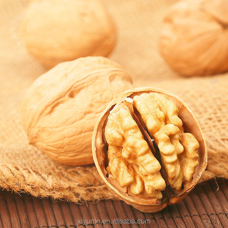 Price of Walnuts nuts, in-shell walnuts wholesale, walnuts in shell in China