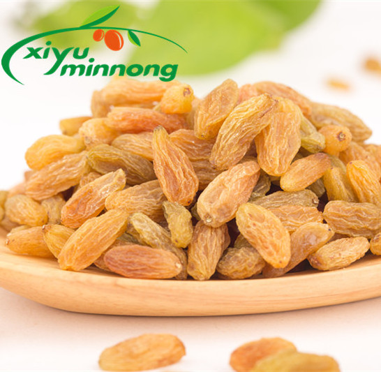 Xinjiang natural grow dried yellow raisins sweet healthy golden raisins for market supplies