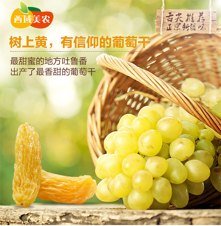 Hot sale dry grapes top grade dried green raisin with wholesale cheap price