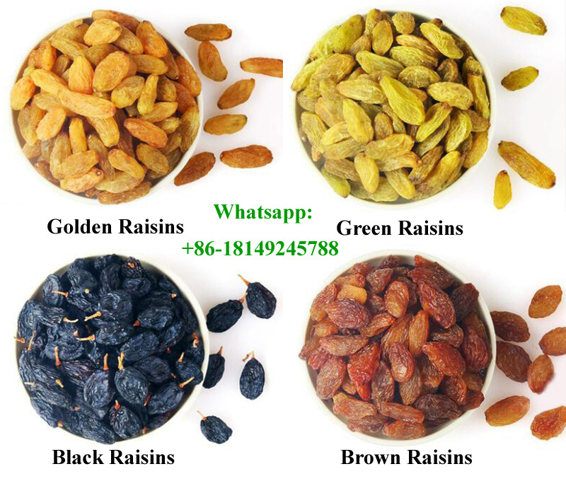 Hot sale dry grapes top grade dried green raisin with wholesale cheap price