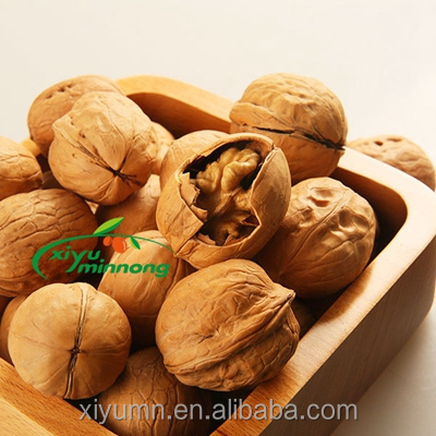 Price of Walnuts nuts, in-shell walnuts wholesale, walnuts in shell in China