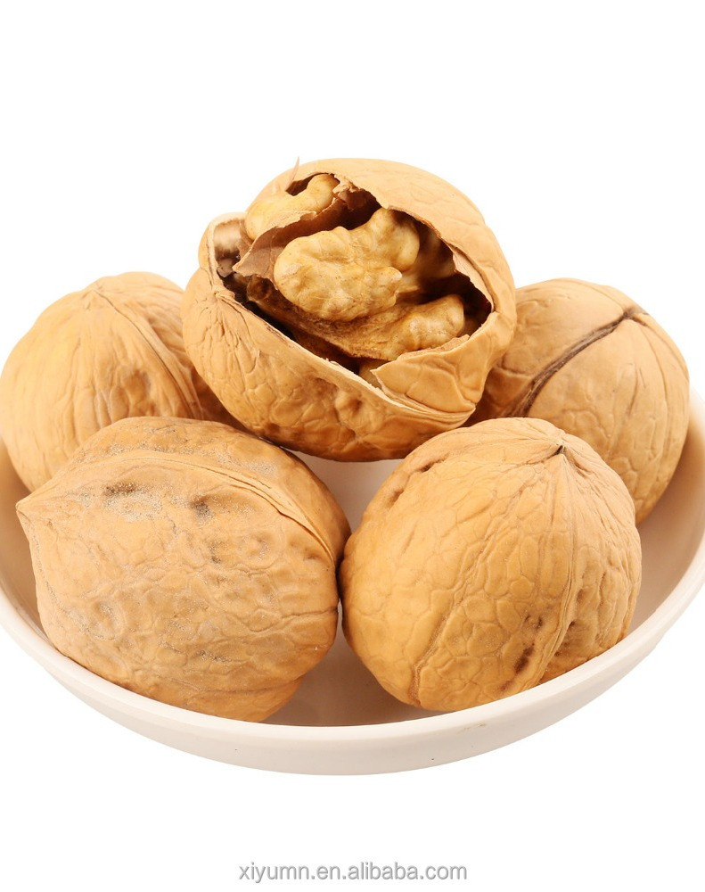 Price of Walnuts nuts, in-shell walnuts wholesale, walnuts in shell in China