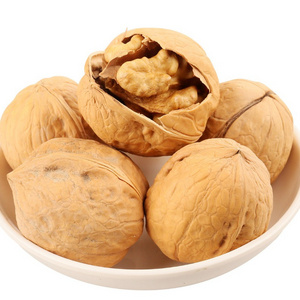 Price of Walnuts nuts, in-shell walnuts wholesale, walnuts in shell in China