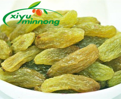 Hot sale dry grapes top grade dried green raisin with wholesale cheap price