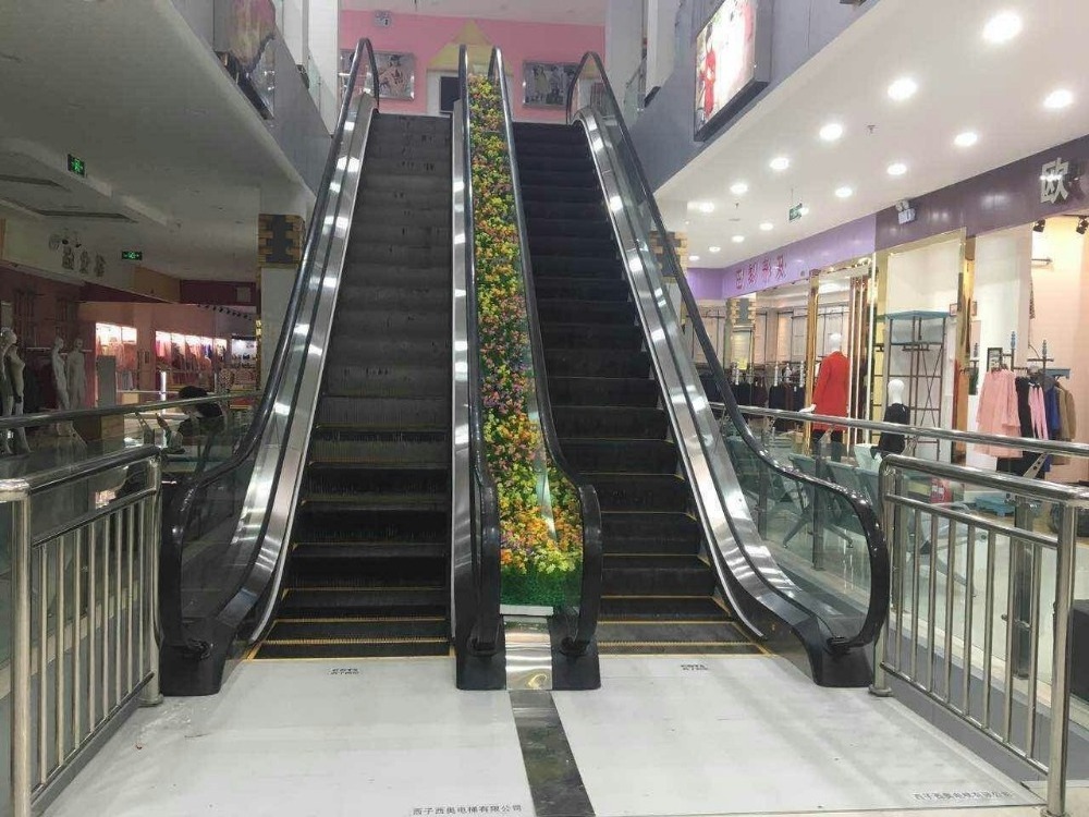 Saft indoor escalator and outdoor escalator elevator price with 1000mm step width