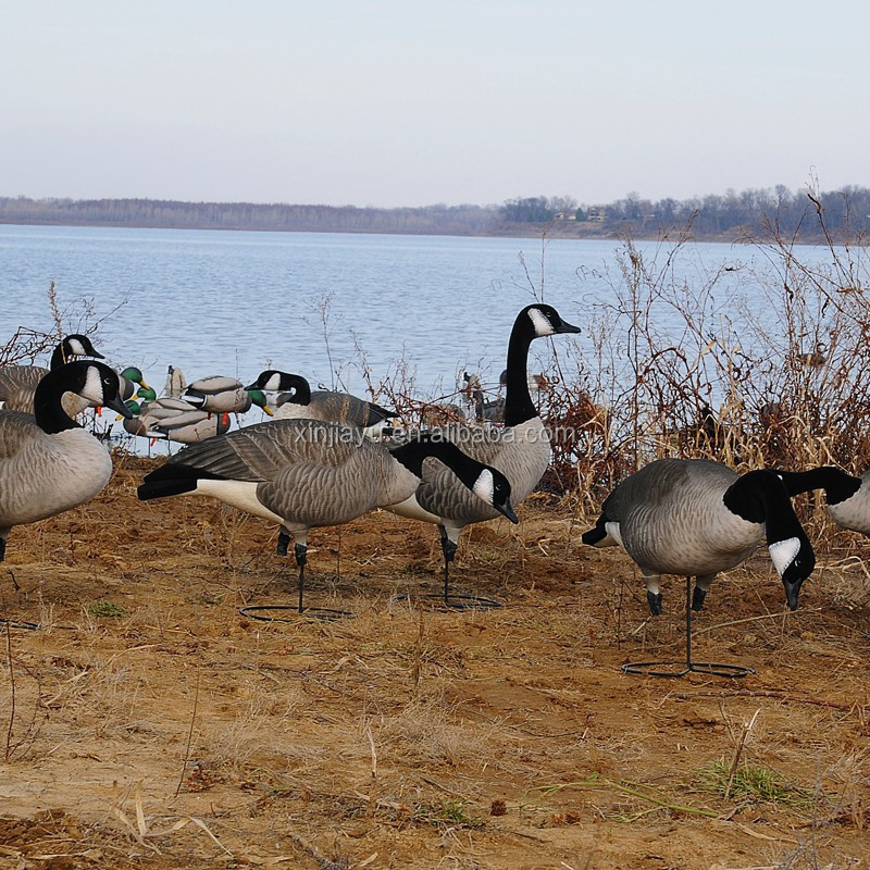 EVA or XPE foam hunting goose decoys canada goose decoys 3D Deer hunting decoys  for wild hunting OEM