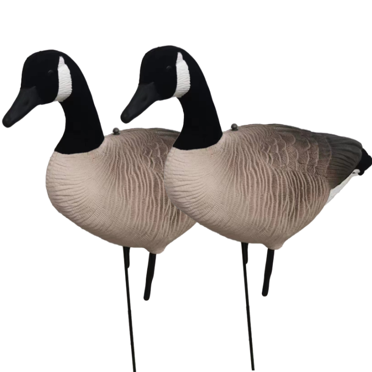 EVA or XPE foam hunting goose decoys canada goose decoys 3D Deer hunting decoys  for wild hunting OEM